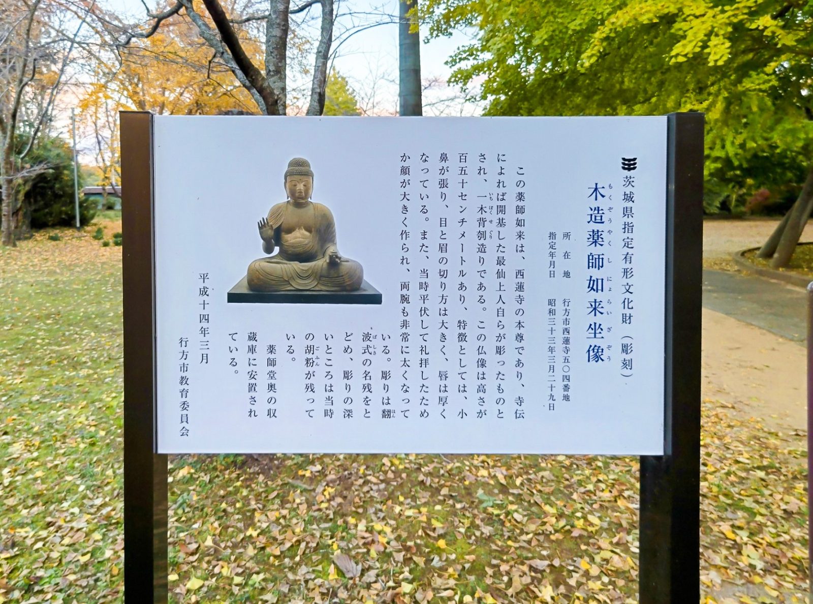 映えスポット,穴場,紅葉,黄葉,関東,関東最古の大イチョウ,西連寺,観光,お出掛け,散策,御朱印,おすすめ