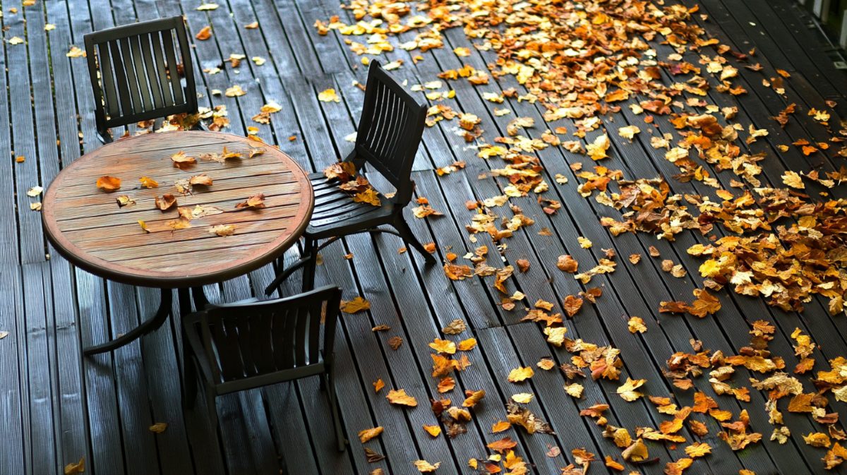 デッキの落ち葉