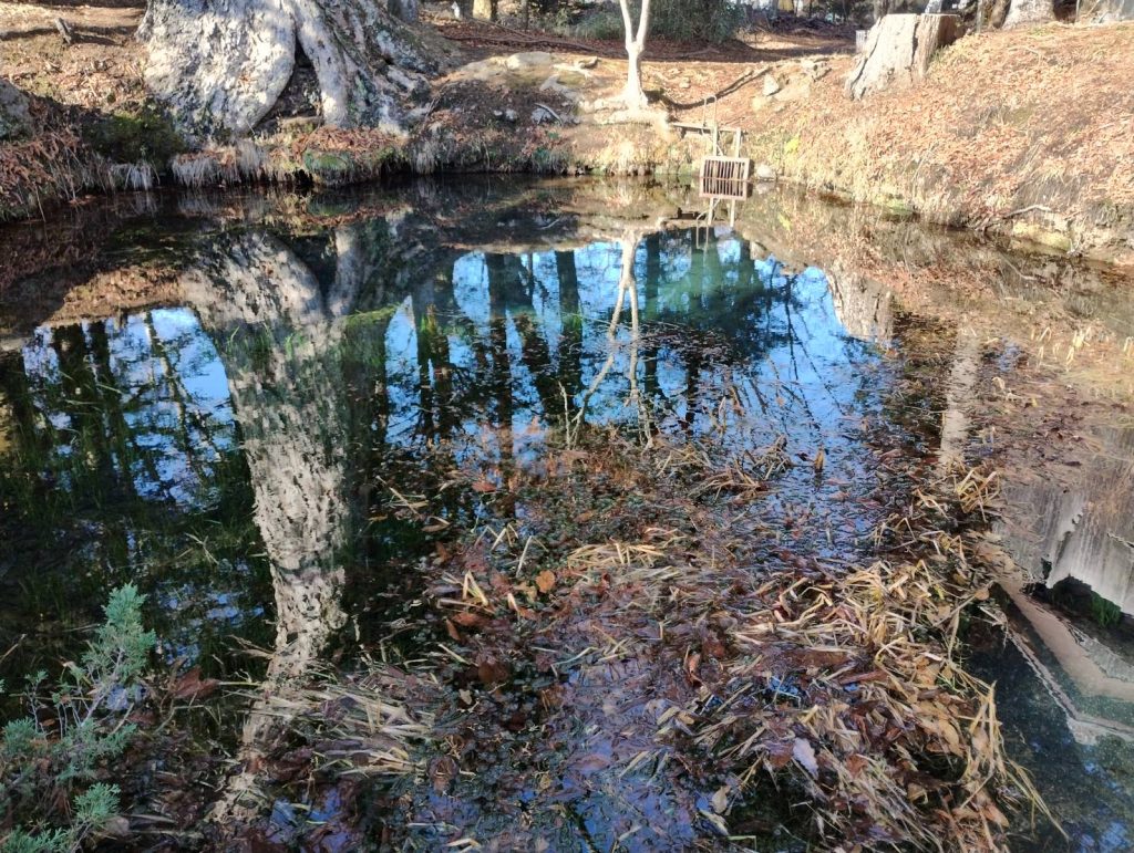浅く見えても実は深いんです。見えすぎるのも怖いです。