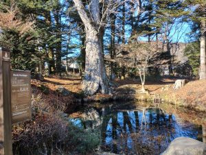 富士山を望む　「忍野八海」でパワーチャージ