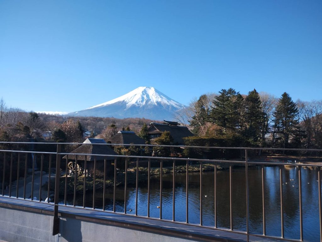 入場料の価値十分すぎます