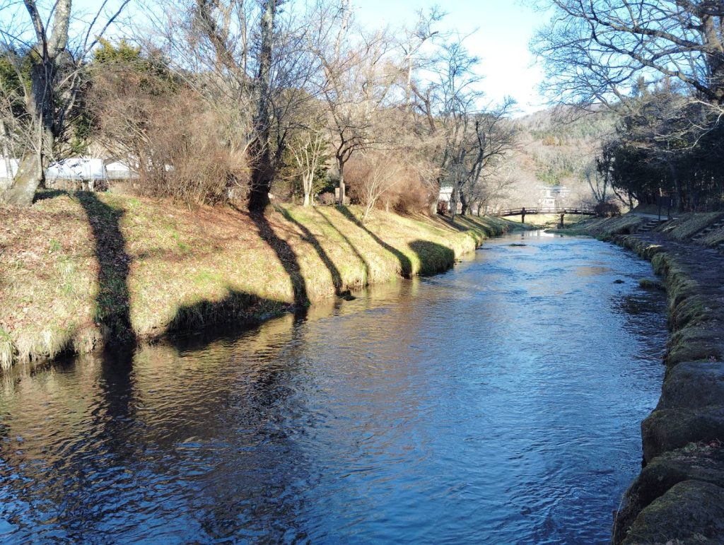 湧水の量は多く川となり流れていきます