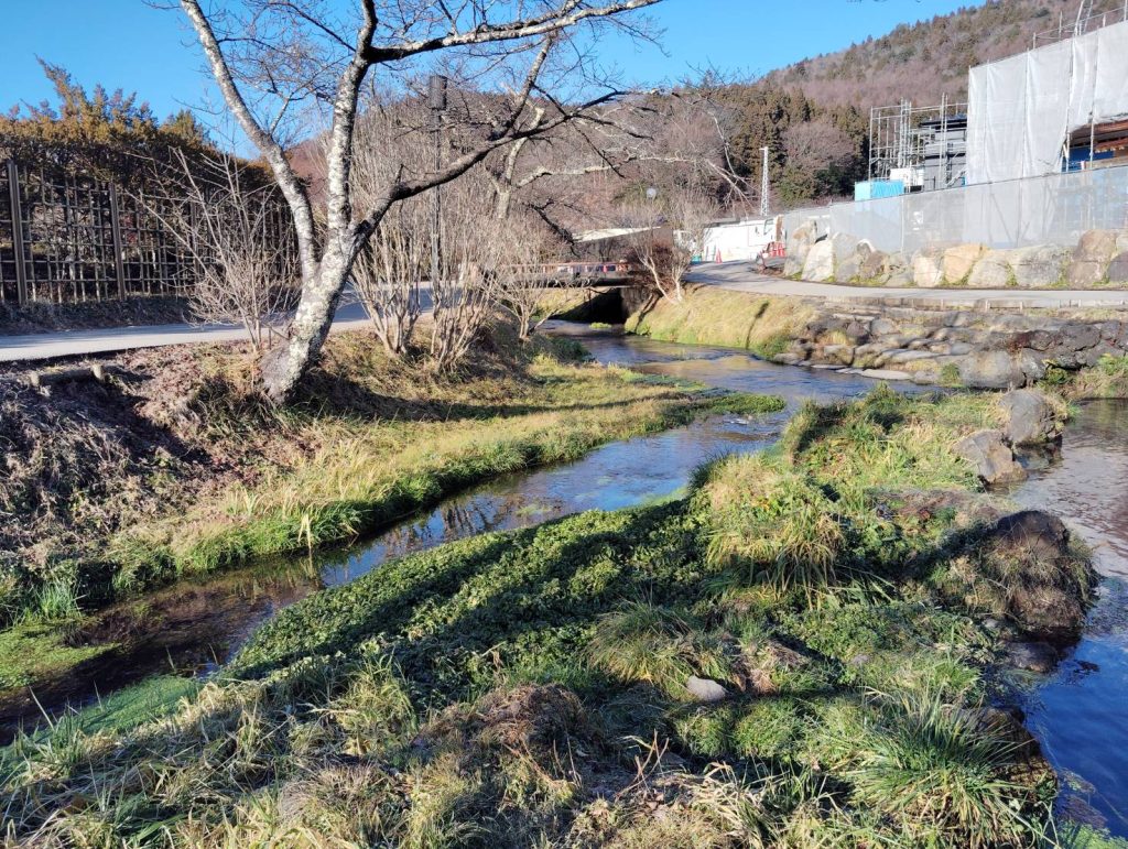 日本のすばらしさを清潔さからも立派にアピールしてくれる大切な観光地です