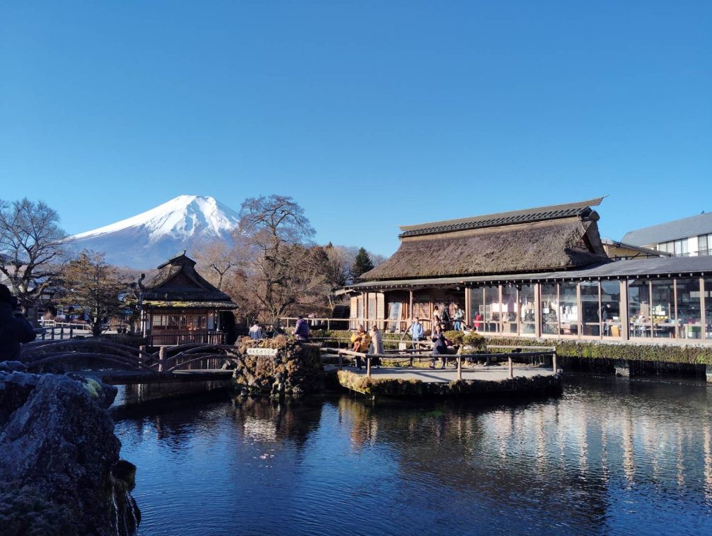 映えます映えます