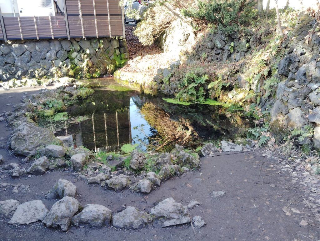 大雨の時はあふれそうな気もします