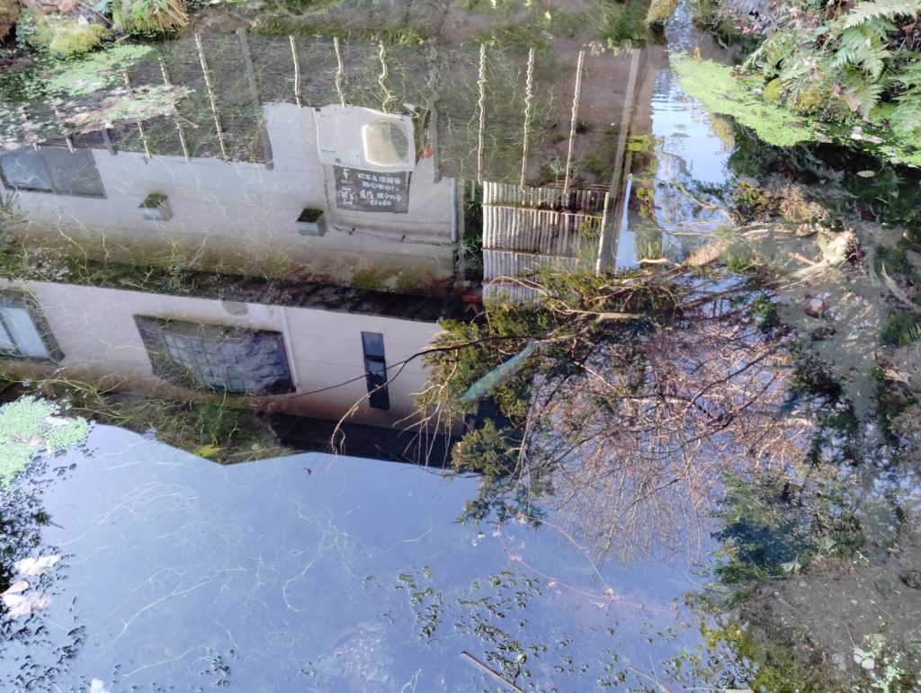 字が読めるほど