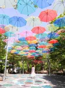 ◆2025年ブログまとめ◆年末特別編！『今年のベスト記事5選！』