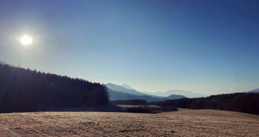 八ヶ岳清里の草原