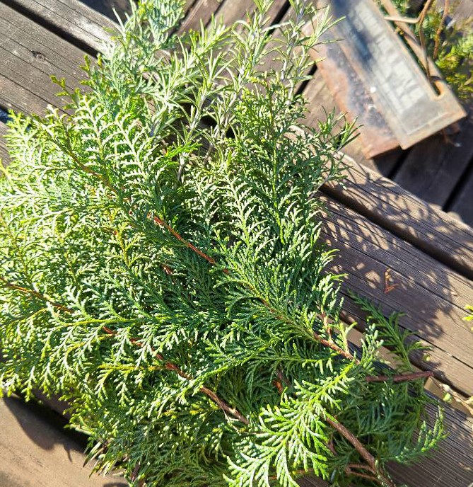 クリスマスリース.手作り,作り方,簡単,オシャレ