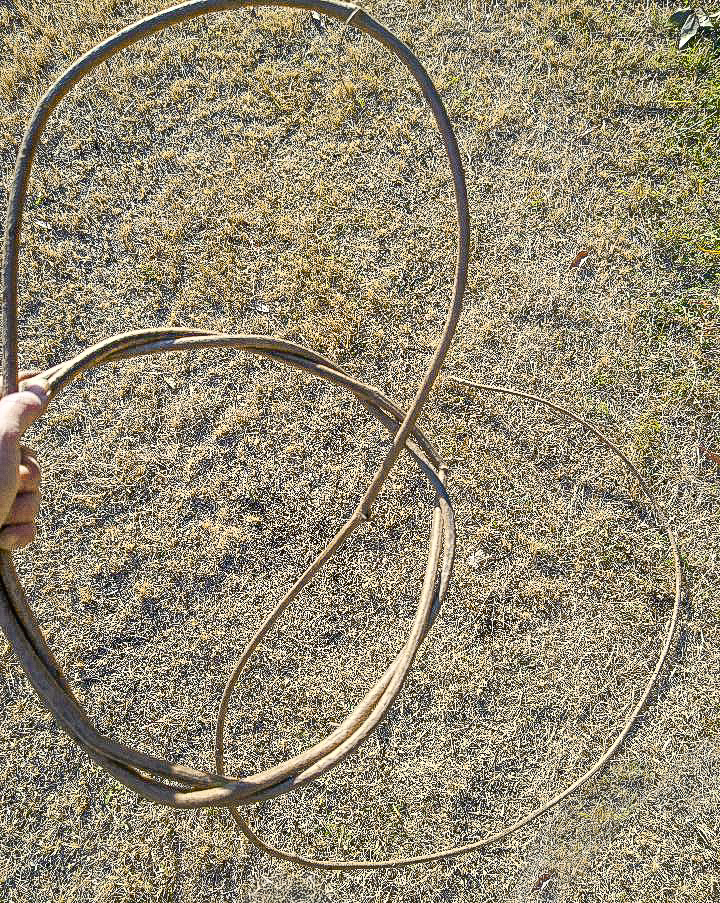 てづくり、ハンドメイド、クリスマスリース、ナチュラルリースの作りかた、簡単、ゼロ円