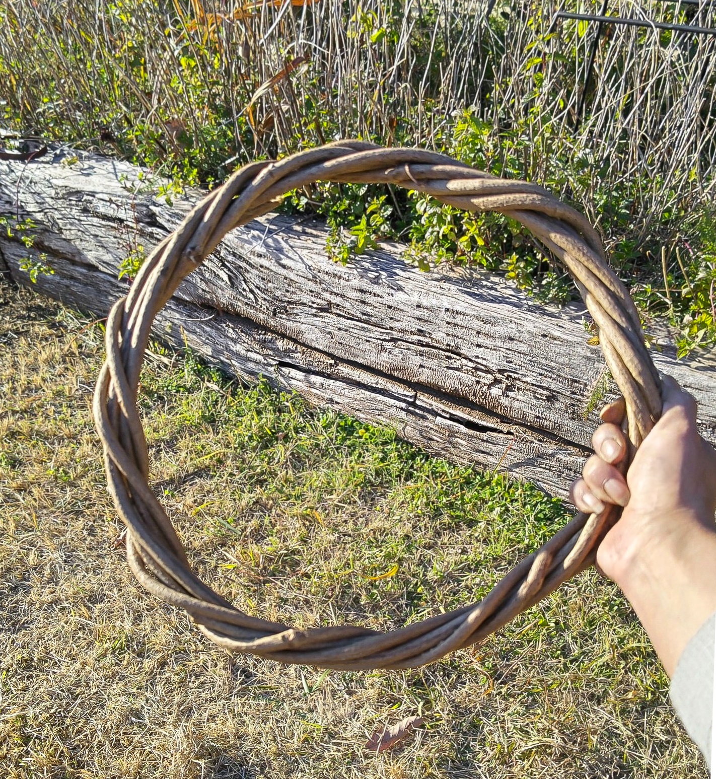 エバーグリーン,てづくり、ハンドメイド、クリスマスリース、ナチュラルリースの作りかた、簡単、ゼロ円