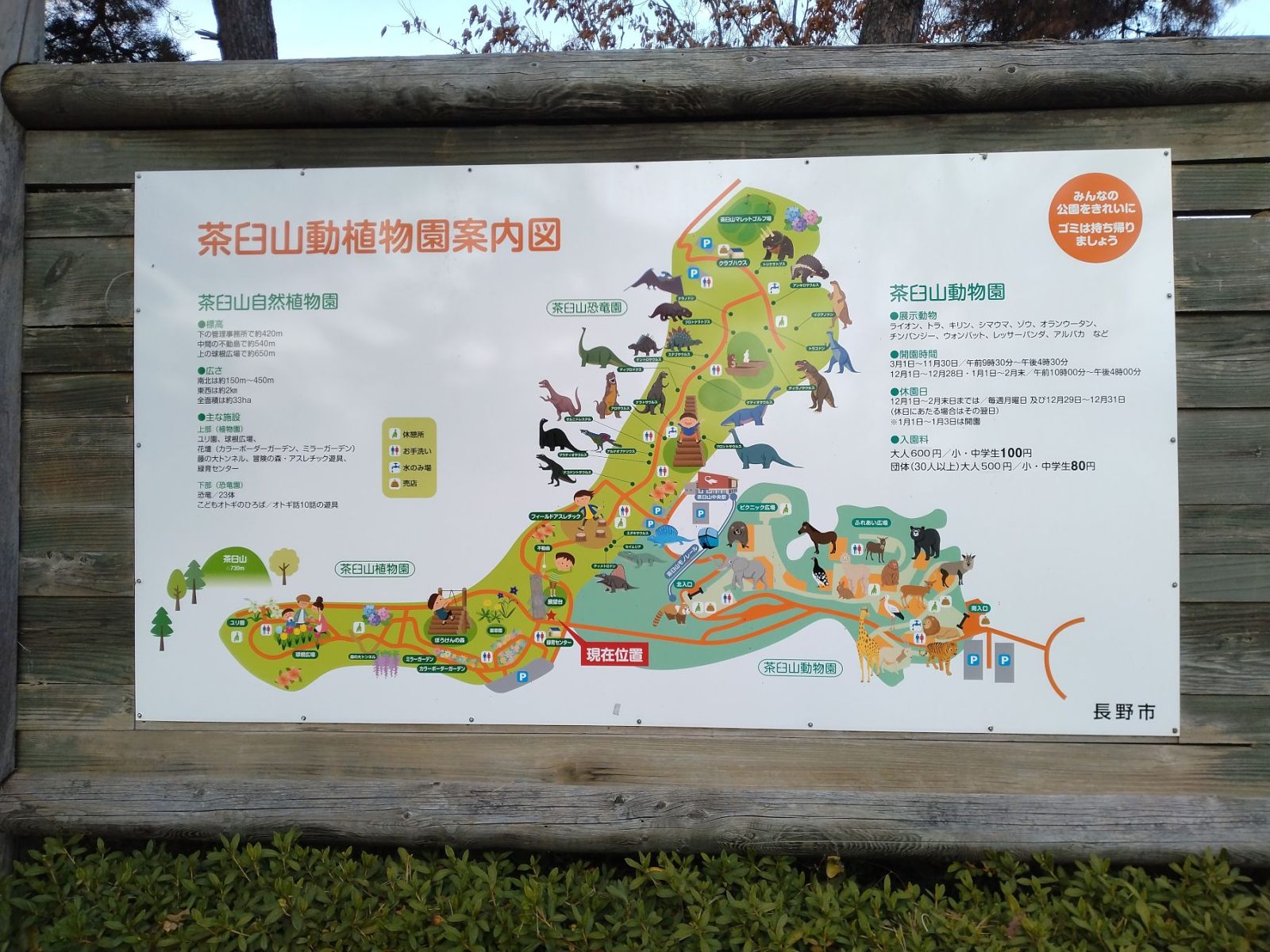 茶臼山自然植物園　写真