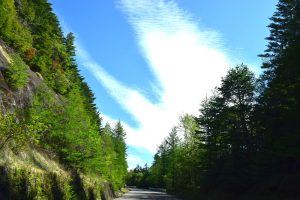 【富士五湖周辺】富士山の神社７社で神玉集め　冨士山小御嶽神社（５社目）