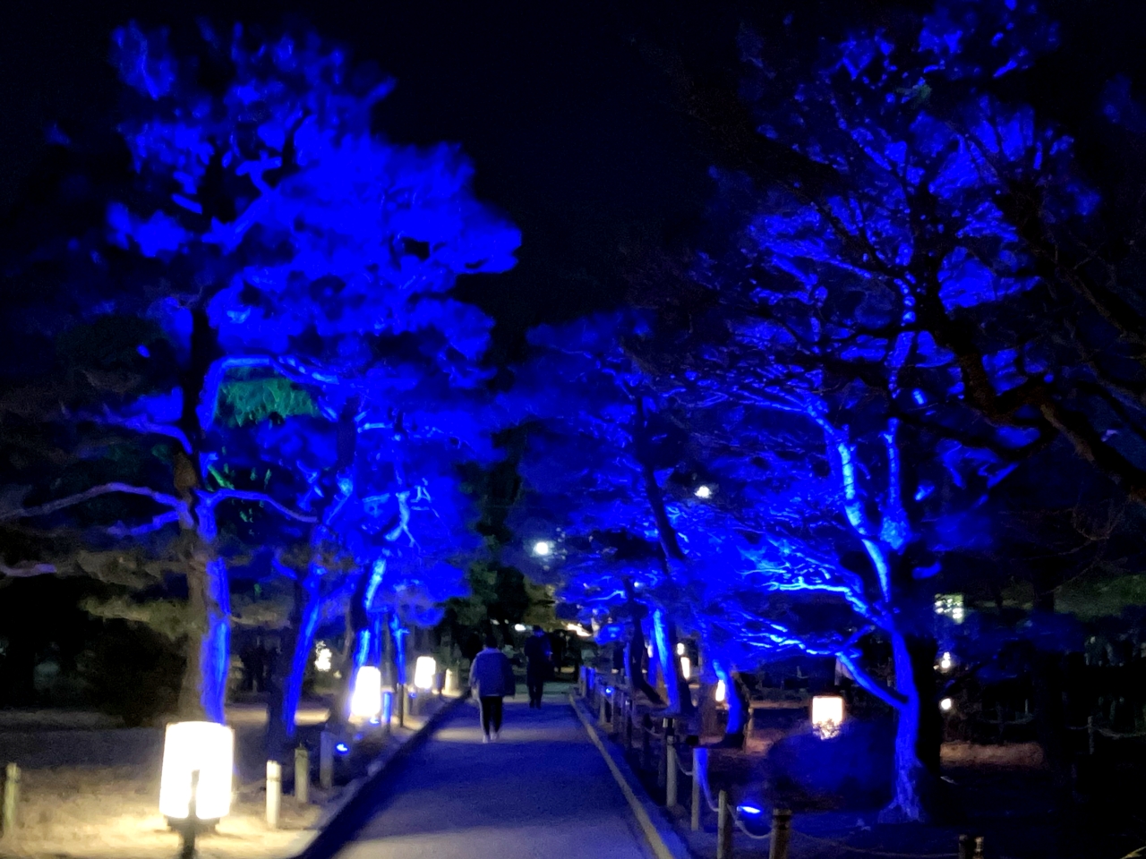 松本城内のライトアップ