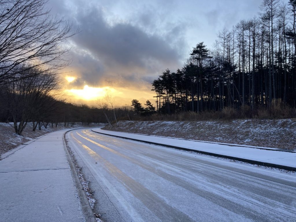 北杜市高根町清里ポールラッシュ通り