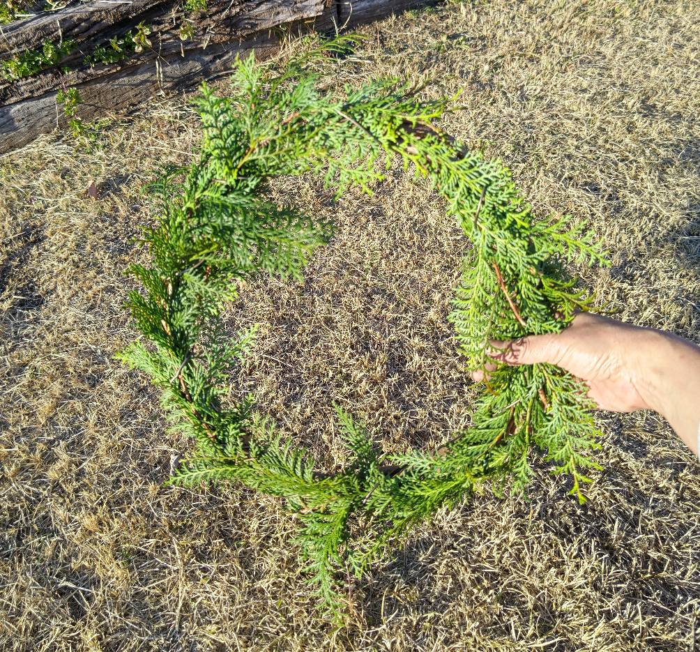 エバーグリーン,てづくり、ハンドメイド、クリスマスリース、ナチュラルリースの作りかた、簡単、ゼロ円