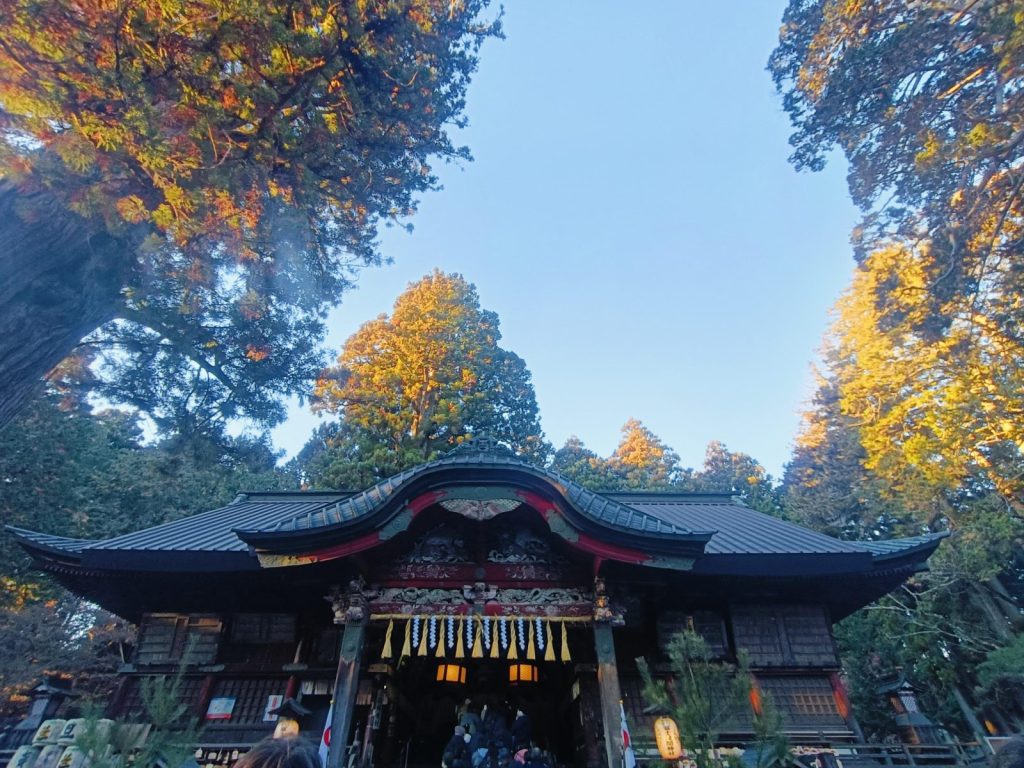 杉の大木に囲まれて厳粛な雰囲気の本殿