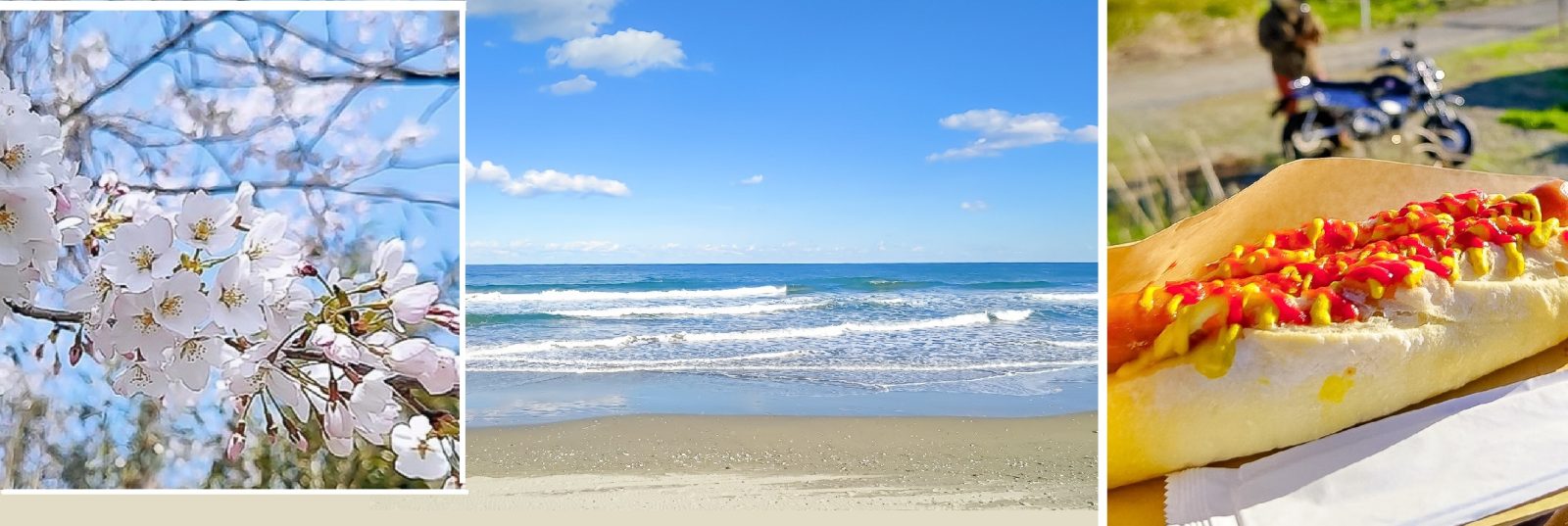 湖を望む新築 別荘 - 周辺環境