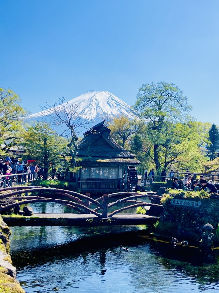 忍野八海 お宮橋