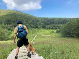 【八ヶ岳】愛犬と一緒に自然を満喫!ペットフレンドリーなおすすめスポット3選