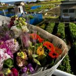 お花摘みができる