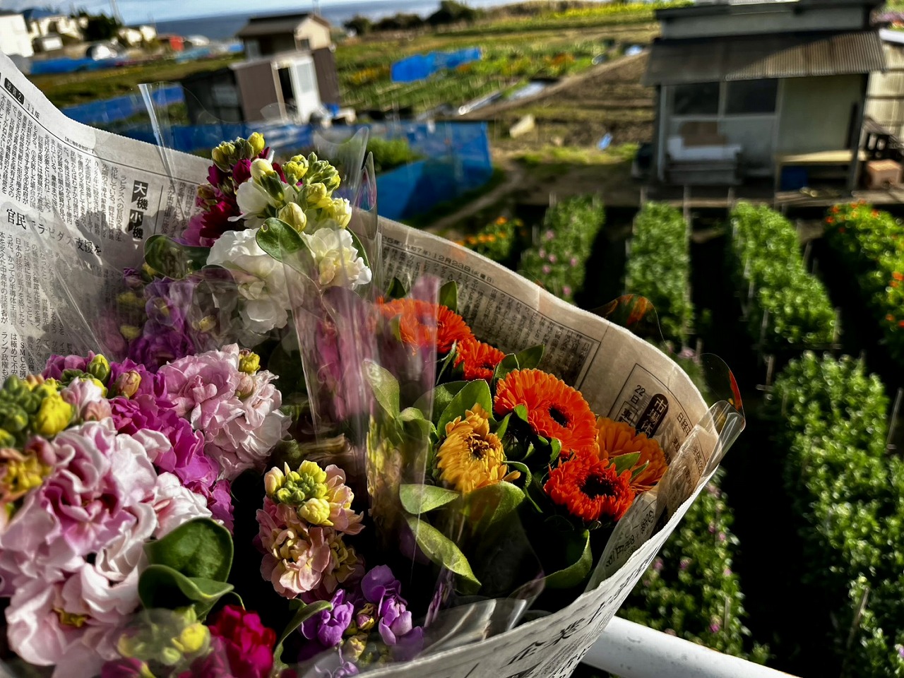 お花摘みができる