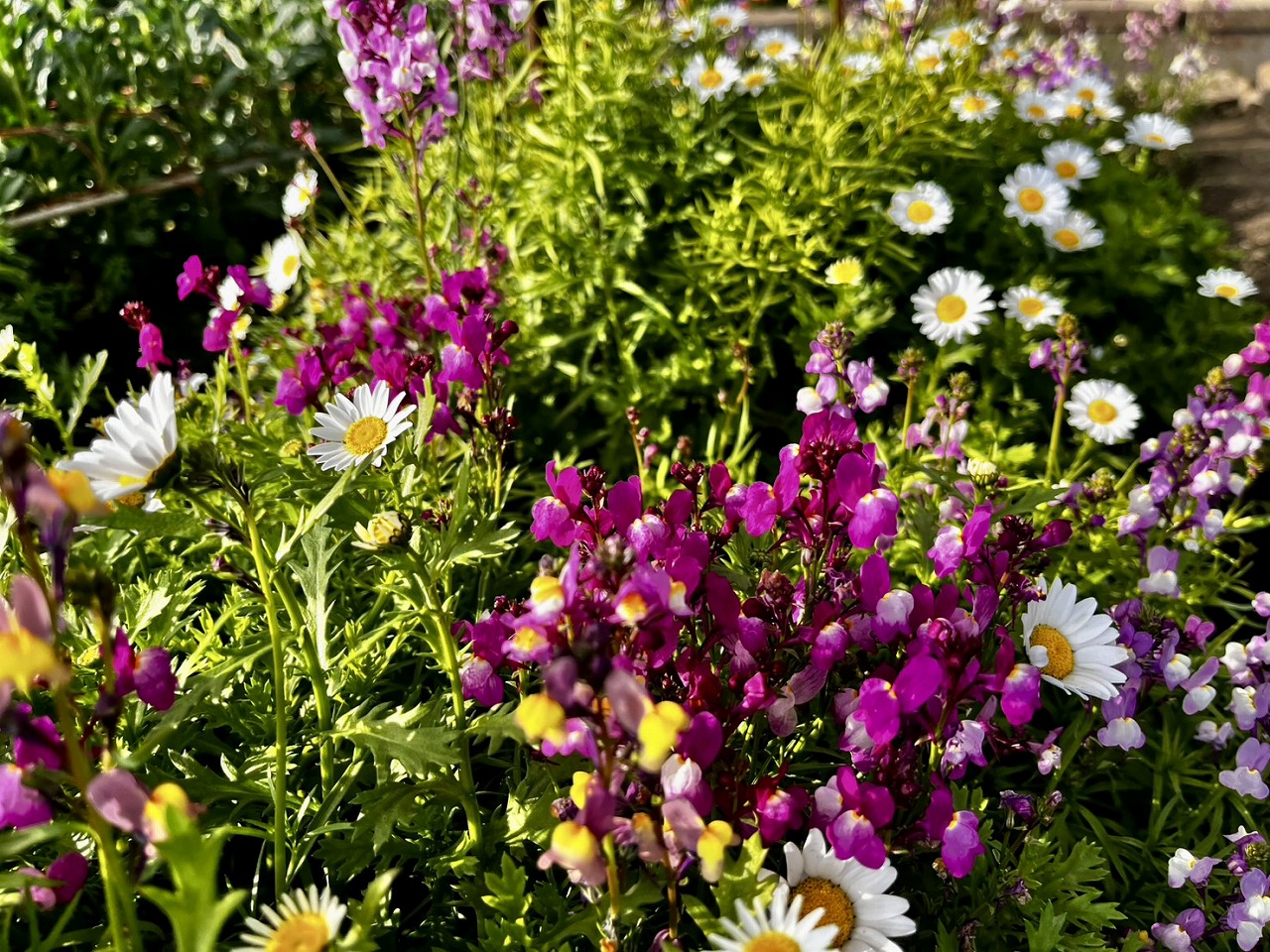 準備して伺いましょう!