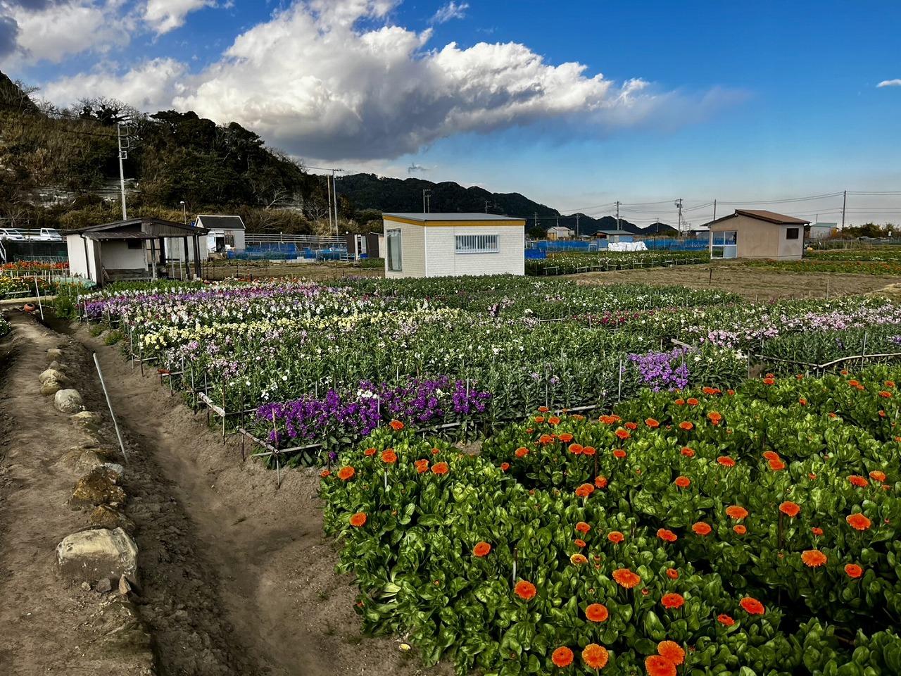 畑に入るっていう意識で
