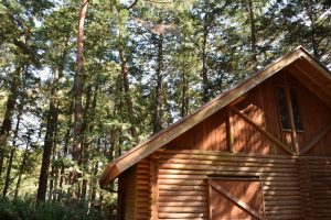 【山梨・河口湖】ログハウスを売却したい!検討中の方必見!売却のタイミング!