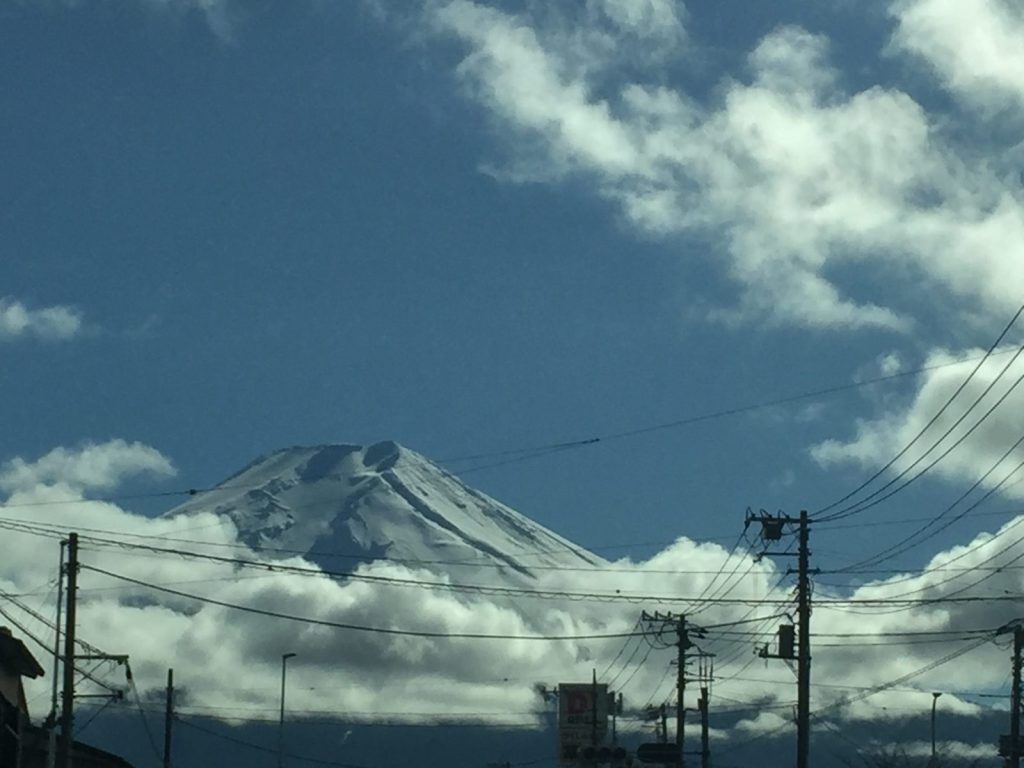 まぶしい陽光が雪に反射して真っ白に輝いています