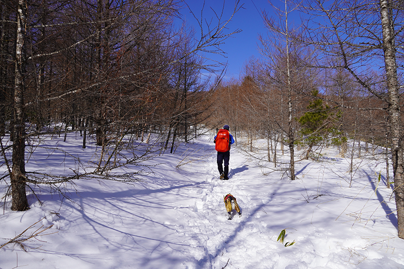 リフト脇の緩やかな斜面を登っていきます
