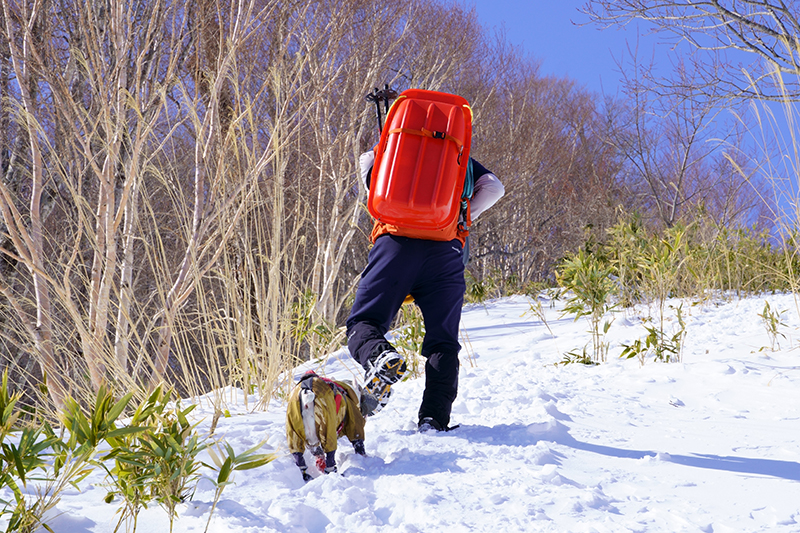 ゲレンデ跡を直登