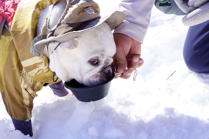 こまめに水分補給
