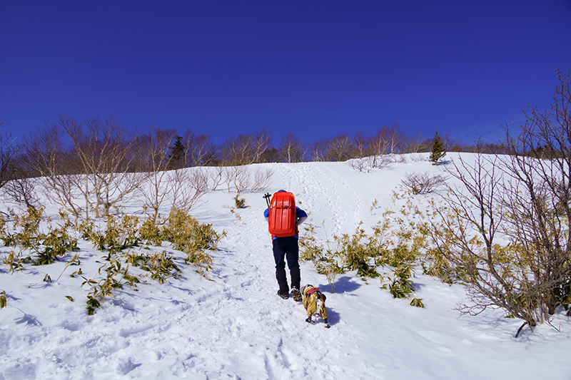 雪山では汗冷えを防ぐため汗をかかないペースでゆっくりと登ります。