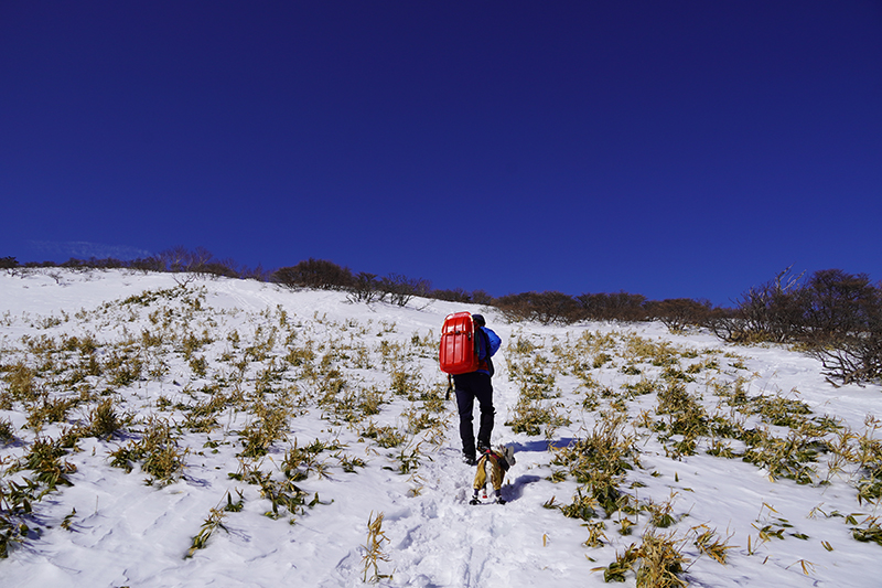 山頂付近は雪が柔らかく踏み抜くことも多くありました。足の置場に注意しながら進みます。