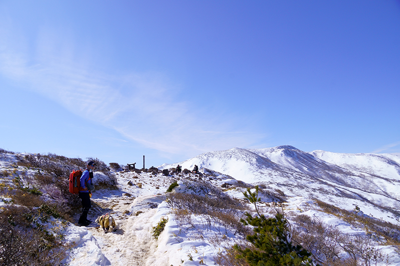 赤面山の山頂標識が見えてきました。