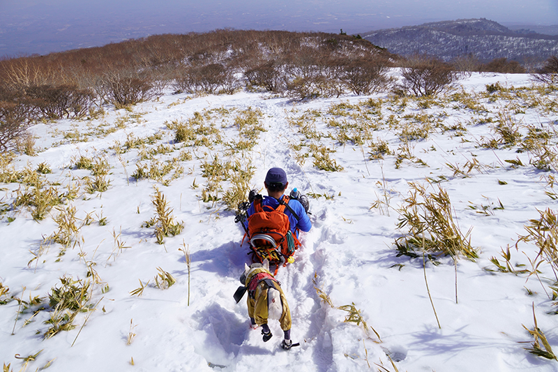 ソリで下山