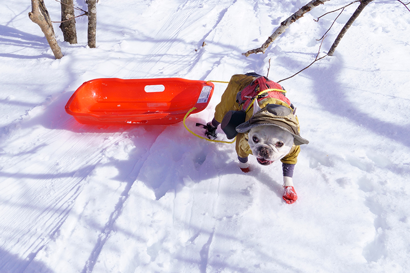 雪遊びをしながらの下山