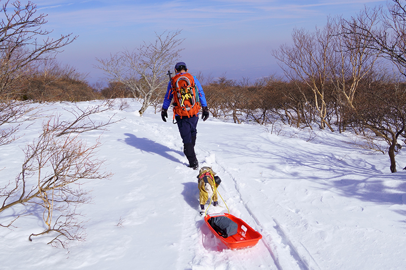 雪遊びをしながらの下山