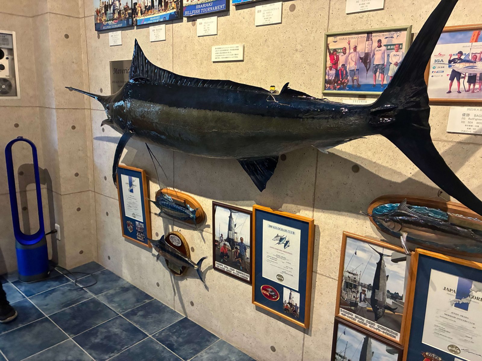 大洗カジキミュージアム