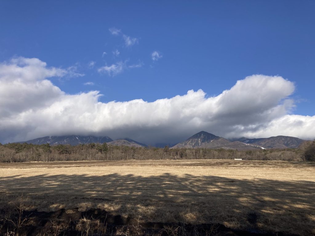 牧草地から八ヶ岳