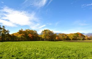 【群馬県の嬬恋村】が「2025年版住みたい田舎ベストランキング シニア部門」で全国1位！