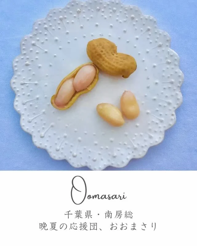 ＼晩夏の応援団は“おおまさり”🥜✨／

千葉県で誕生した超特大ピーナッツ「おおまさり」。
その大きさは一般的な落花生の2倍！
収穫時には根にびっしり実がつき、食べる前から感動します。

おすすめの食べ方は、なんといっても「塩ゆで」！
ほくほく食感と甘み、絶妙な塩気がクセになります。
初めて食べた人は、落花生の概念が変わるほどの衝撃かも。

南房総のスーパーや直売所で見かけたら、ぜひお試しください。
余ることなく一気に食べきってしまうはず…！

秋を前に、今だけの旬を味わい尽くしましょう🍂

—
別荘・不動産売買なら「日本マウント」を検索⛰
TEL : 03-6451-3960
https://resort-estate.com/

🎼音楽サポート：
#響けユーフォニアム　に楽曲提供している
#石倉雄太 さん（@yutaishikura_euph）
投稿用に心温まる楽曲を提供いただいています🎶
—

#千葉移住 #南房総 #館山暮らし #九十九里ライフ #外房暮らし #海の見える暮らし #田舎暮らし #地方移住 #二拠点生活 #デュアルライフ #週末移住 #セカンドハウス #家庭菜園のある暮らし #海辺の暮らし #移住したい人と繋がりたい #温暖な暮らし #スローライフ千葉 #自然と暮らす #別荘ライフ #移住計画 #暮らしを楽しむ #豊かな暮らし #房総ライフ #千葉県で暮らす #自然派暮らし #ログハウスのある暮らし #不動産情報 #日本マウント